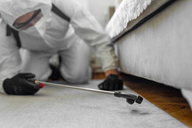 Professional Pest Control technician working in Bridgeview, IL
