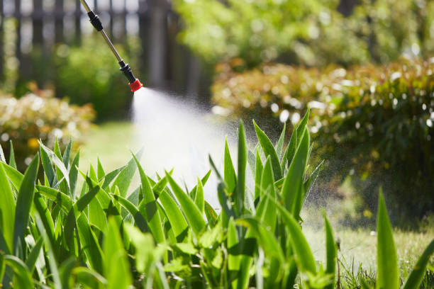 24/7 Emergency Pest Control experts in Bridgeview, IL